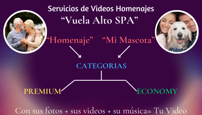 Esquema del servicio VA con flechas